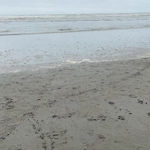 Meet your Posher, Sukhdeep